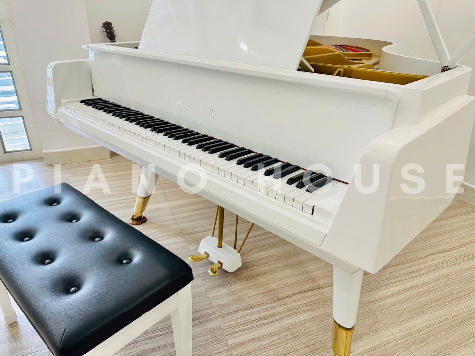 Hình ảnh chi tiết YAMAHA G3 Special góc chụp 2